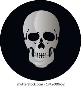 skull isolated vector on black background human skull in a circle