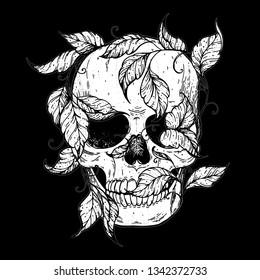 Skull and ivy hand drawn illustration. Tattoo vintage print. Skull sketch. Floral print.