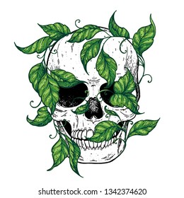 Skull and ivy hand drawn illustration. Tattoo vintage print. Skull sketch. Floral print.