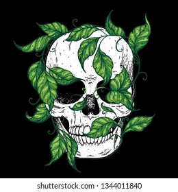 Skull and ivy hand drawn illustration. Tattoo vintage print. Skull sketch. Floral print.
