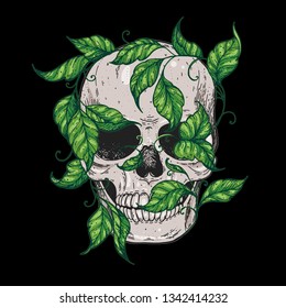 Skull and ivy hand drawn vector illustration. Floral skull. Hand drawn floral print. Tattoo design.
