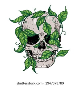 Skull Ivy Hand Drawn Vector Illustration Stock Vector (Royalty Free ...