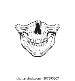 Skull Jaw Sketch, Tattoo Design. Hand Drawn Vector Illustration