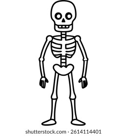 Skull Line Art Vector Illustration