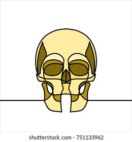 Skull line icon, outline vector sign, linear style pictogram isolated on white. , outline vector sign, linear style pictogram isolated on white. 