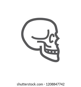 Skull line icon. Vector illustration for websites.