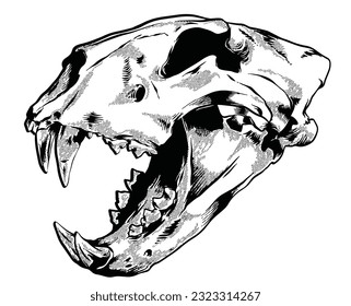 Skull Lion Hand drawn Line art Sketch Vector illustration black and white