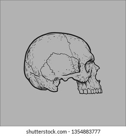 skull logo drawing line art vector illustration