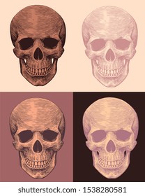 Skull looking at the viewer. Design set. Hand drawn engraving. Editable vector vintage illustration. Isolated on on different backgrounds. 8 EPS