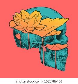Skull And Lotus, Abstract Hand Drawn Illustration, Isolated Vector