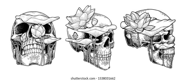 Skull And Lotus, Abstract Hand Drawn Illustration set, Isolated Vector