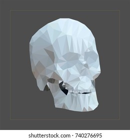 Skull in the Low Poly equipment