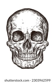 Skull man sketch style graphic, vector illustration isolated on white background, design, sticker, poster, Halloween, Gothic, print for design, digital art