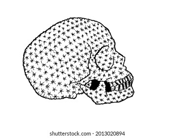 skull medical symbol human dead tattoo Halloween anatomy