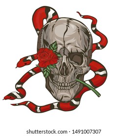 Skull with a milk snake and a rose. Vector graphics