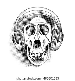 Skull monkey in a headphones. Vector illustration.