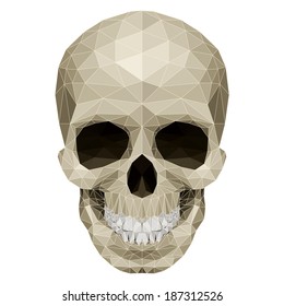 Skull with mosaic pattern. Illustration on white
