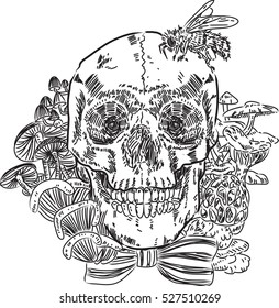 Skull mushroom