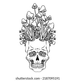 Skull with mushrooms. Hand drawn vector skull with mushrooms on head isolated on white background. Monochrome. Tatoo. Vintage. Phsycodelic art