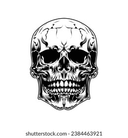 skull on black vector design