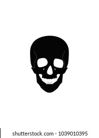 Skull on a white background