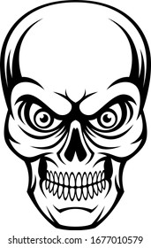 Skull on a white background