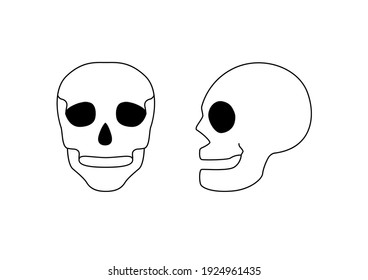 Skull on white background. Vector illustration.