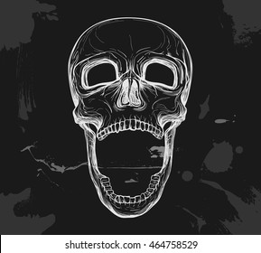 skull with opened jaw on black background, vector illustration