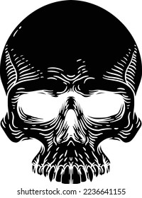 A skull original illustration in an old vintage woodcut etching engraving style