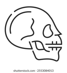 Skull outline icon, showing anatomy outline icon, minimalist vector illustration and transparent graphic element. Isolated on white background