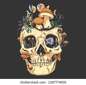 a skull overgrown and mushrooms   plants