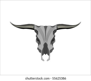 skull of the oxen