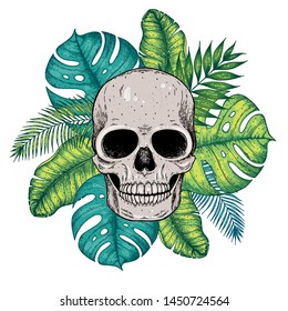 Skull and palm leaves hand drawn illustration. Tattoo vintage print. Skull and palm leaves sketch. Floral print