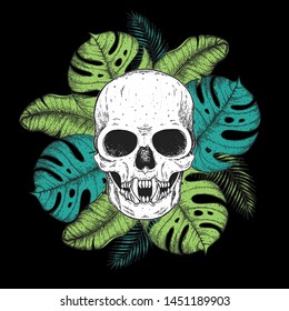 Skull and palm leaves hand drawn illustration. Tattoo vintage print. Vampire skull and palm leaves sketch. Floral print 