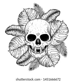 Skull and palm leaves hand drawn illustration. Tattoo vintage print. Vampire skull and palm leaves sketch. Floral print