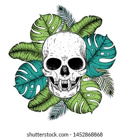 Skull and palm leaves hand drawn illustration. Tattoo vintage print. Vampire skull and palm leaves sketch. Floral print