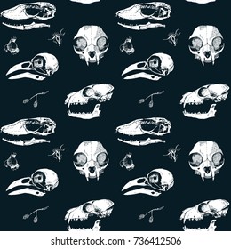 Skull pattern on black background. Skulls of raven, comodo dragon, cat and fox.