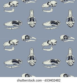 Skull pattern on grey background. Skulls of raven, comodo dragon and fox illustrated.