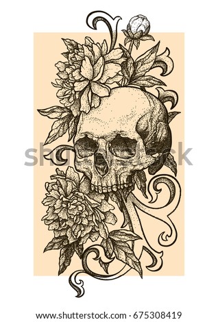 Skull with peonies or roses flowers. Hand drawn vintage vector Dotwork Illustration. Graphic sketch for tattoo, poster, clothes, t-shirt design, pins, badges, stickers and coloring book