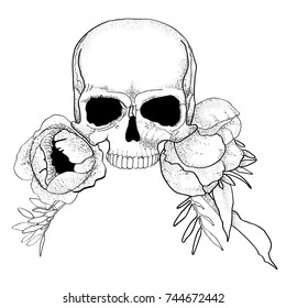 skull with peony flowers boho graphic vector illustration