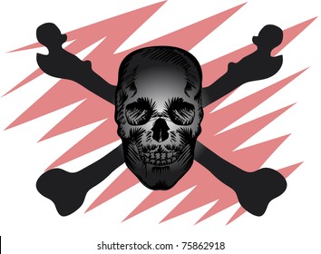 Skull of the person, and behind him are two bones of the extremities.