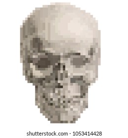 
Skull in the pixel art, 8 bit, 16 bit