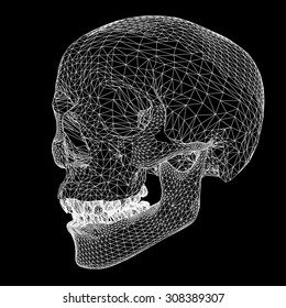 Skull polygon