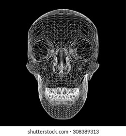 Skull polygon