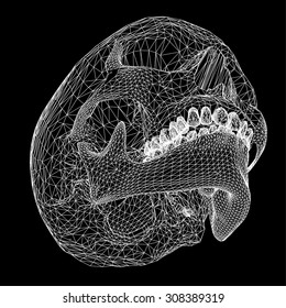 Skull polygon