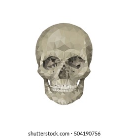 skull. polygonal graphics. vector illustration