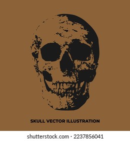 skull poster illustration vector. isolated skull