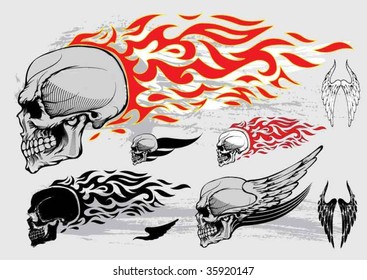 Skull Profile Design Elements