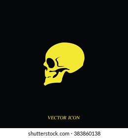 Skull profile view. 