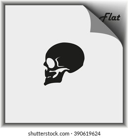 Skull Profile View. 